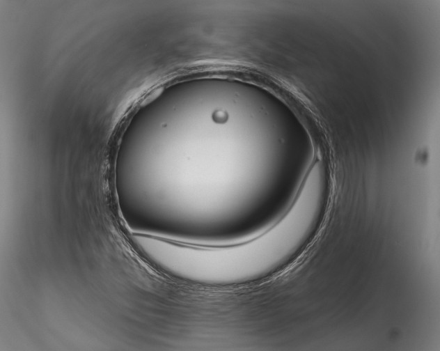 X0000115771357200911271130
