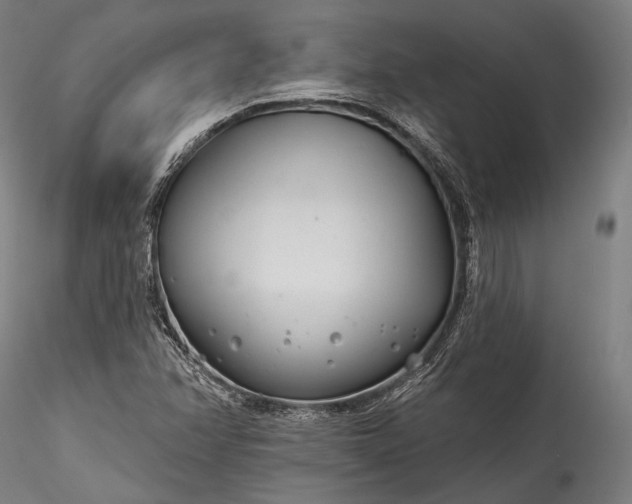X0000115771358200911271130