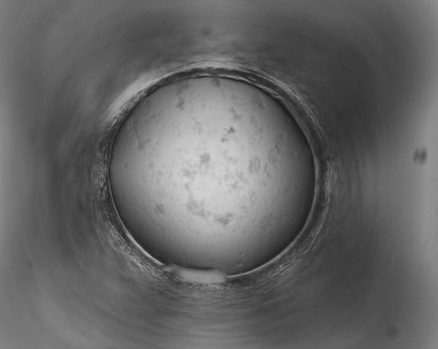 X0000115771359200911271130