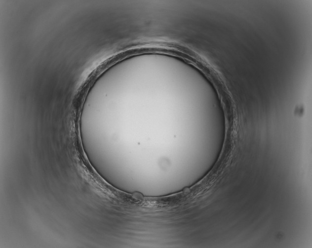 X0000115771360200911271130