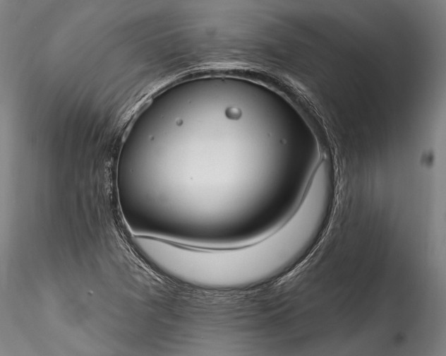 X0000115771361200911271130