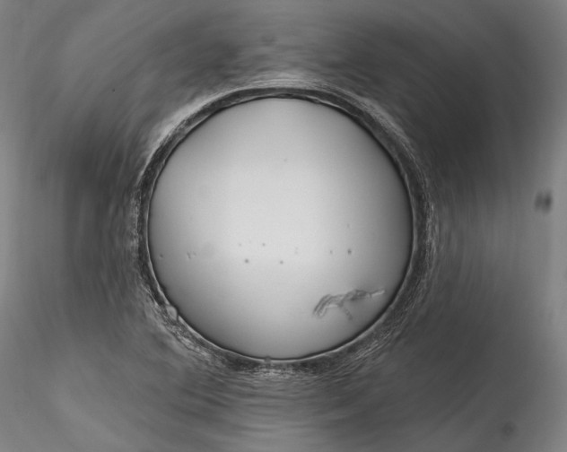 X0000115771364200911271130