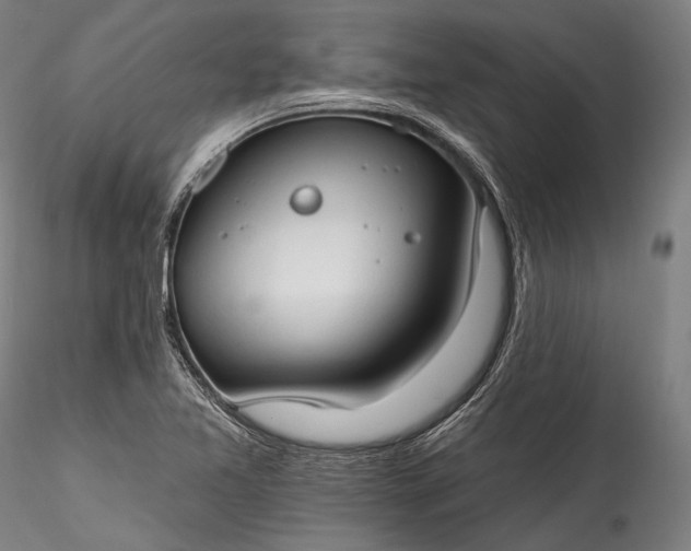 X0000115771365200911271130