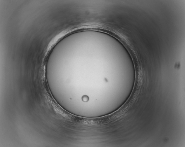X0000115771366200911271130