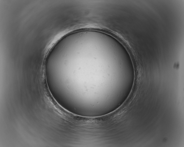 X0000115771367200911271130
