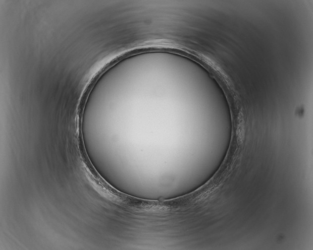 X0000115771372200911271130