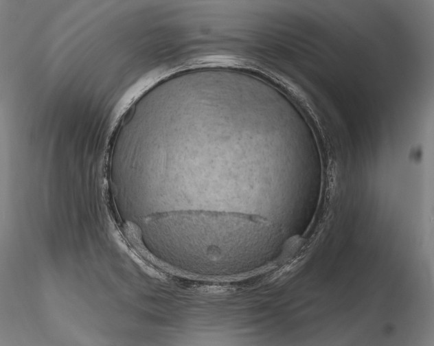 X0000115771373200911271130