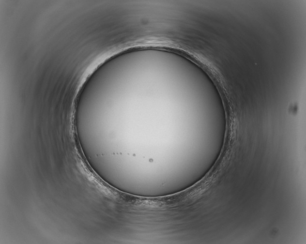 X0000115771374200911271130