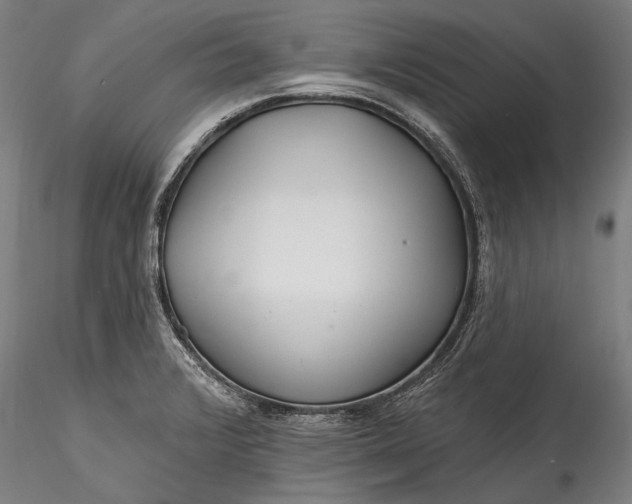 X0000115771376200911271130