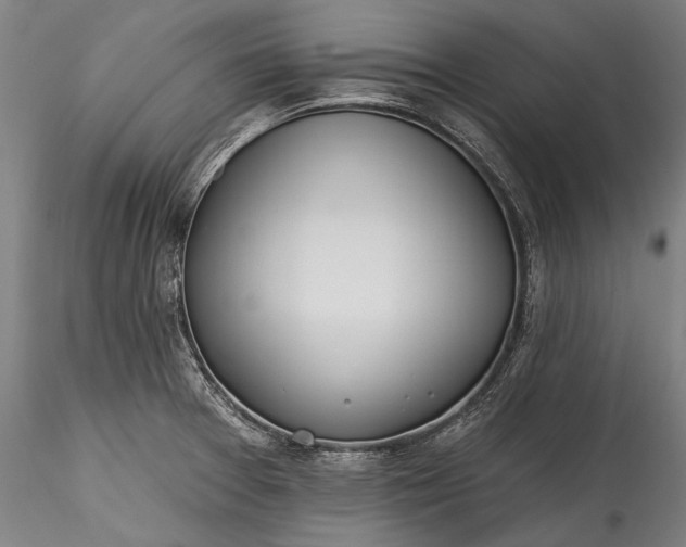 X0000115771377200911271130