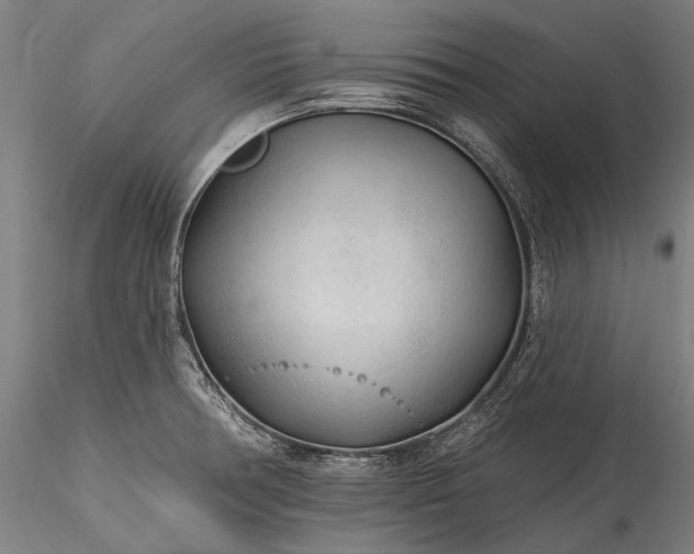 X0000115771378200911271130