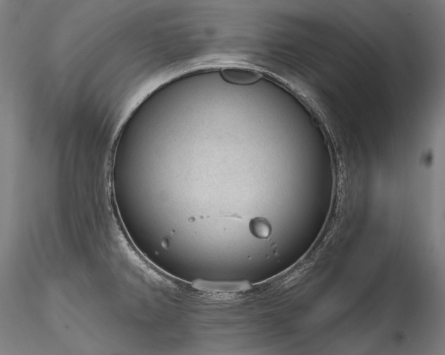 X0000115771382200911271130