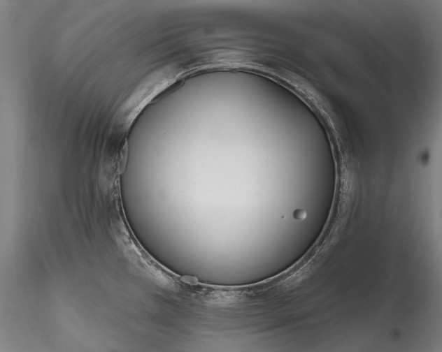 X0000115771385200911271130