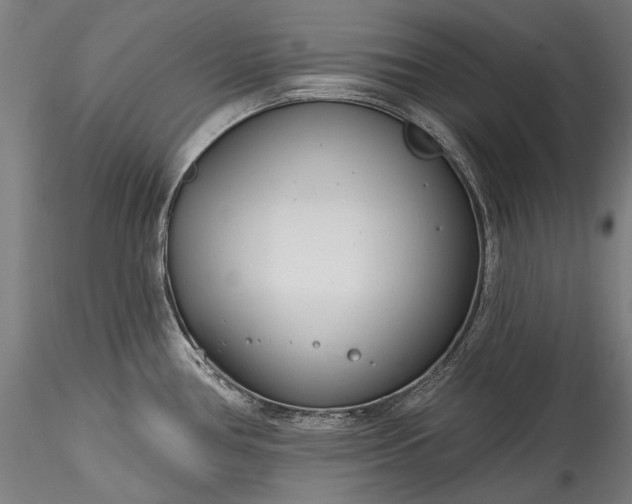 X0000115771386200911271130