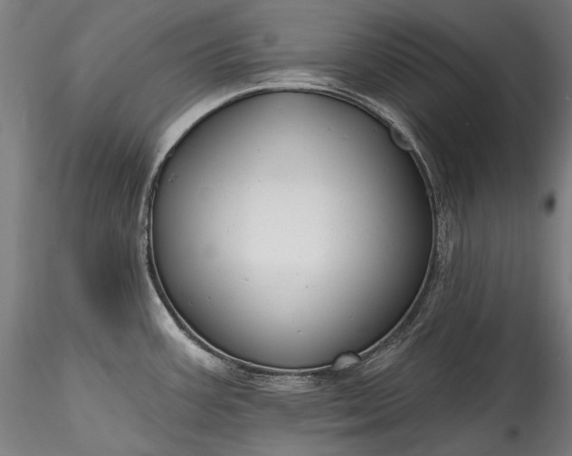 X0000115771387200911271130