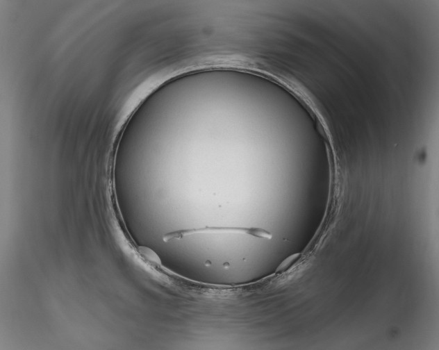 X0000115771389200911271130