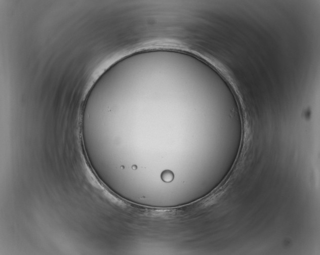 X0000115771390200911271129
