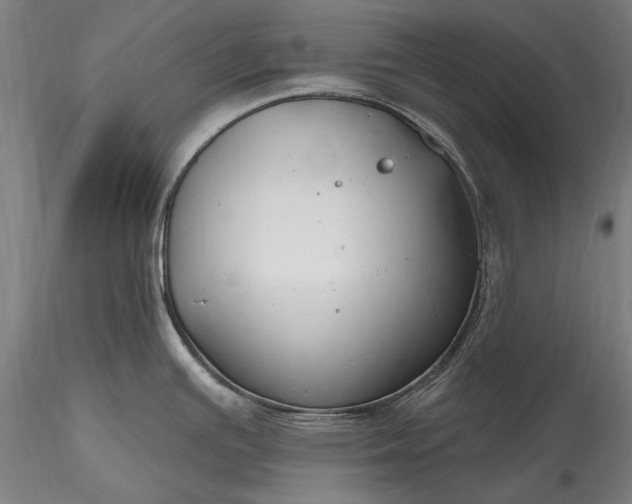 X0000115771391200911271129