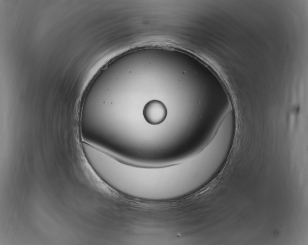 X0000115771392200911271129