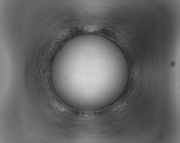 X0000115771393200911271129