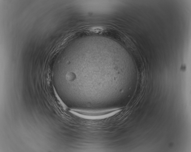 X0000115771394200911271129