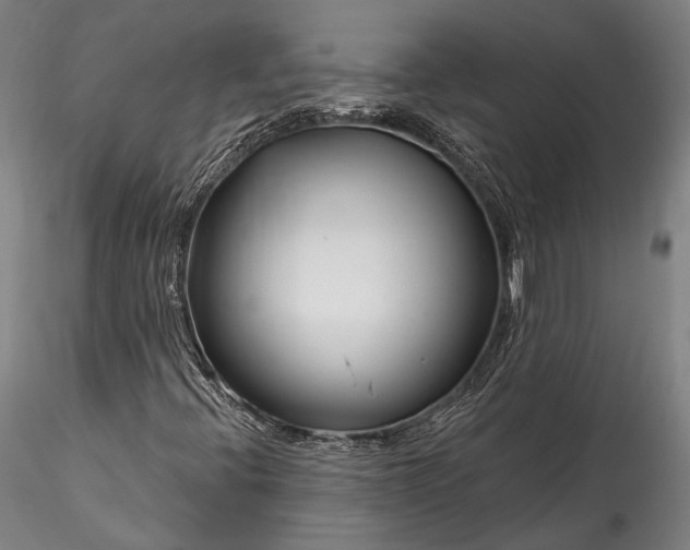X0000115771396200911271129