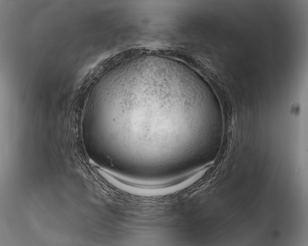 X0000115771398200911271129
