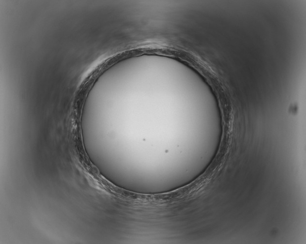 X0000115771400200911271129