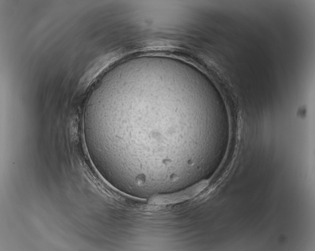 X0000115771401200911271129