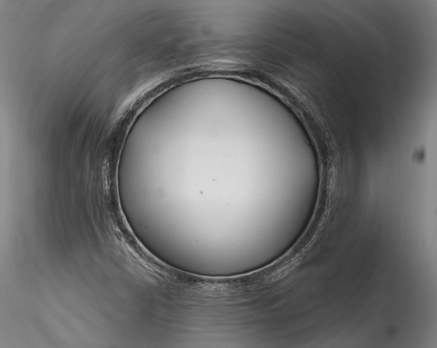 X0000115771402200911271129
