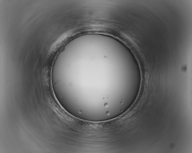 X0000115771403200911271129