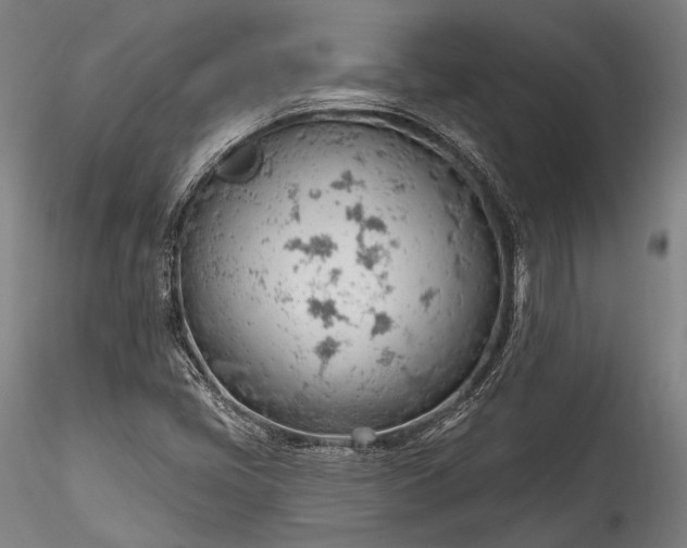 X0000115771405200911271129