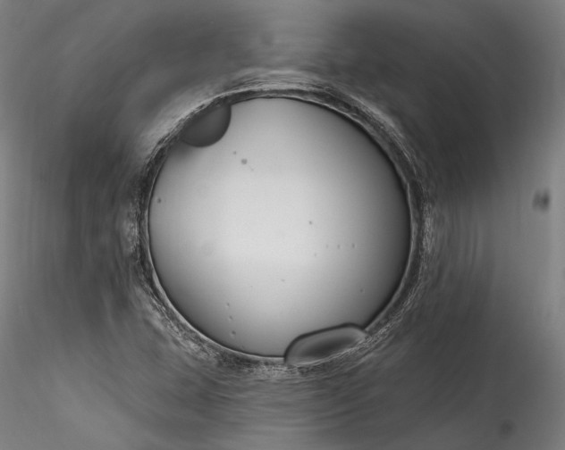 X0000115771407200911271129