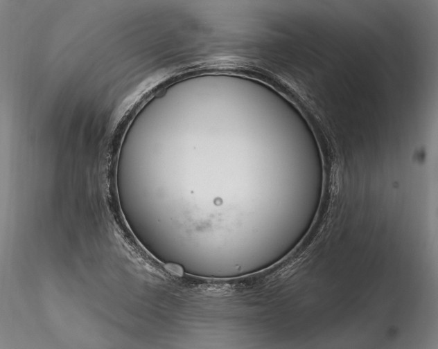 X0000115771410200911271129