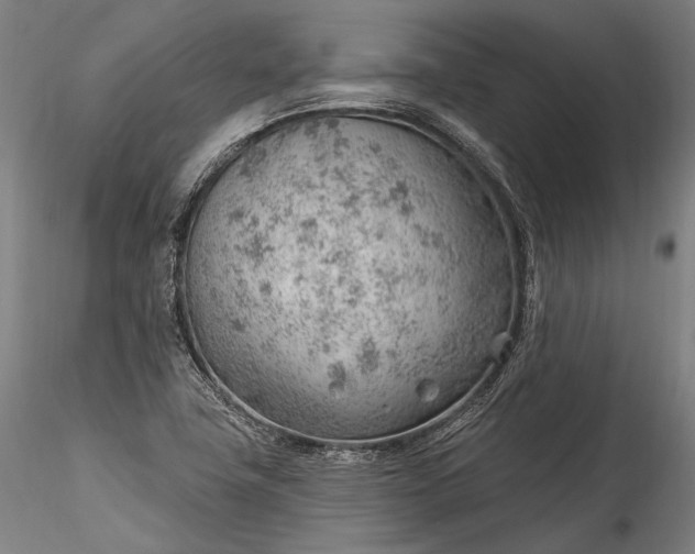 X0000115771411200911271129