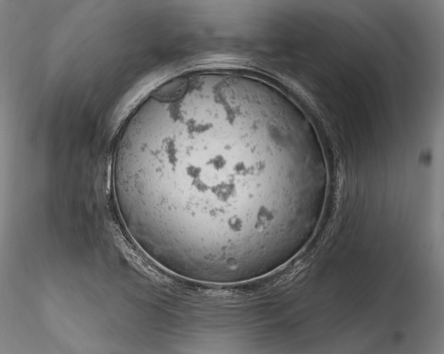 X0000115771413200911271129