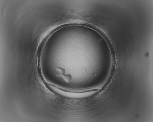 X0000115771414200911271129