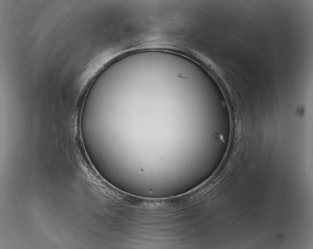 X0000115771415200911271129