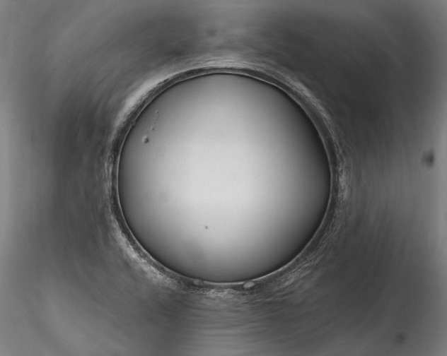 X0000115771416200911271129