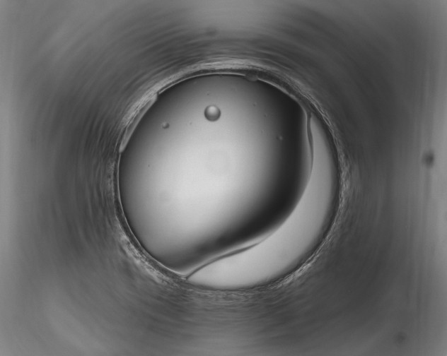 X0000115771417200911271129