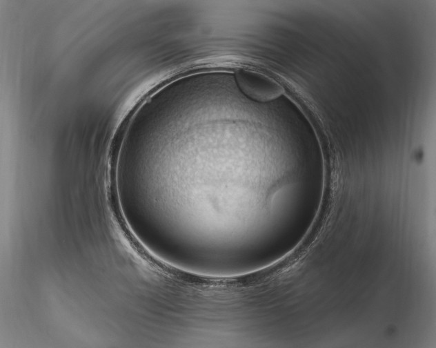 X0000115771418200911271129