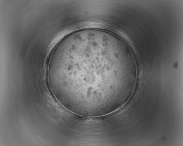 X0000115771419200911271129