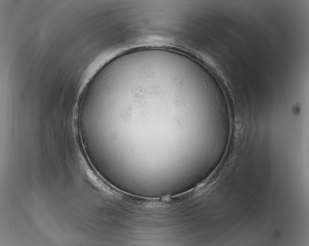 X0000115771421200911271129