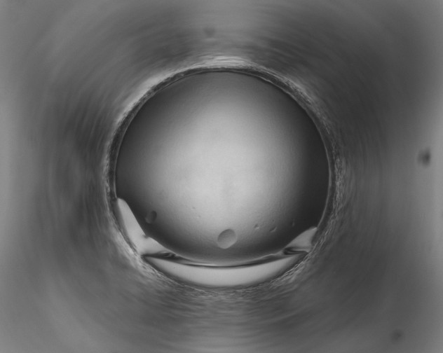 X0000115771422200911271129