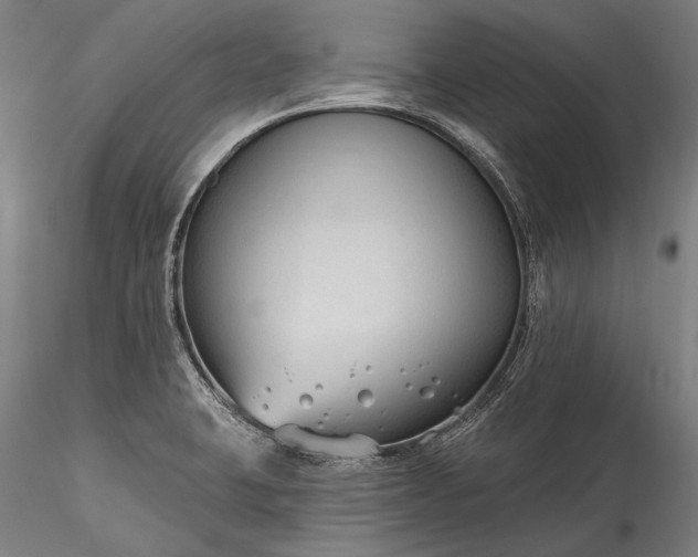 X0000115771423200911271129