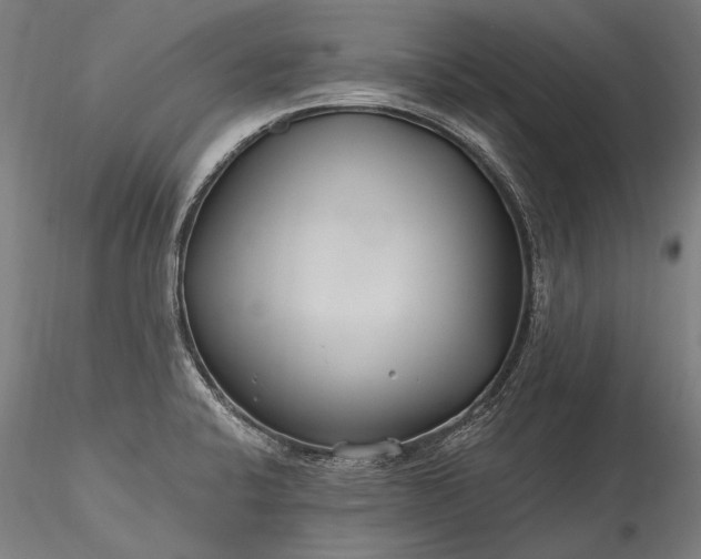 X0000115771424200911271129