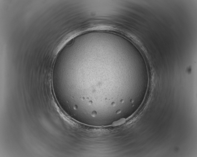 X0000115771425200911271129