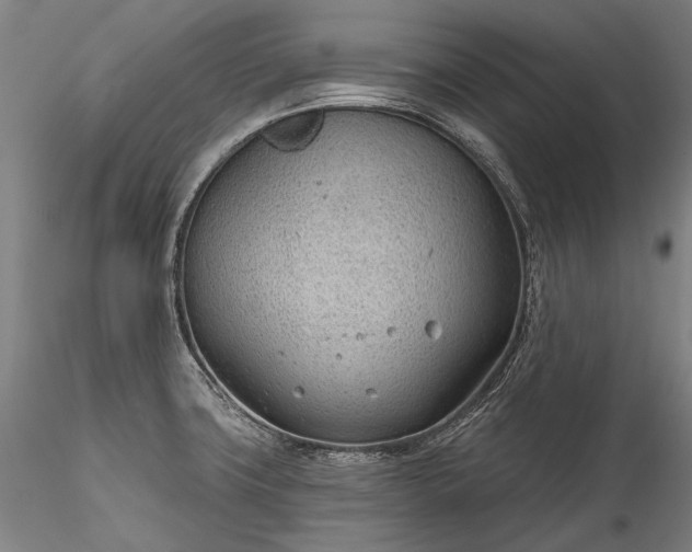 X0000115771427200911271129