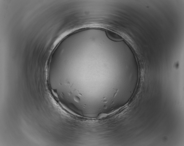 X0000115771428200911271129