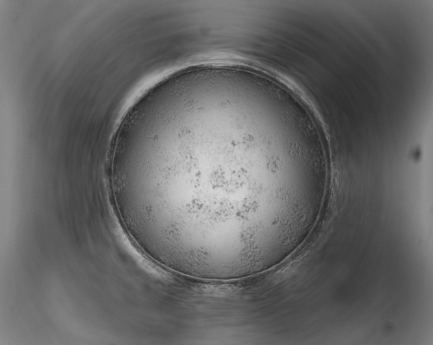X0000115771429200911271129